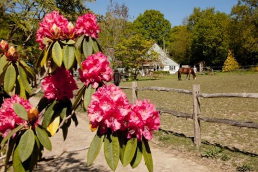The Cottage Cross in Hand 外观 照片